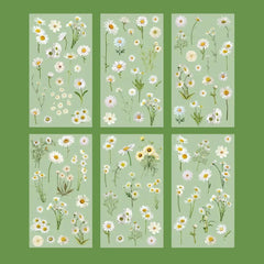 Botanical Garden PET Sticker Collection