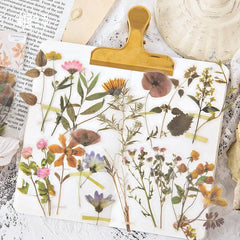 Blossom Dreams PET Floral Sticker Pack