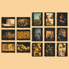 Vintage Film Frame Stickers