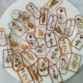 Vintage Botanical Label Sticker Set