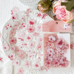 Botanical Dream PET Die-Cut Sticker Set