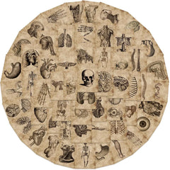 56 PVC Anatomical Adhesive Stickers