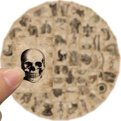 56 PVC Anatomical Adhesive Stickers