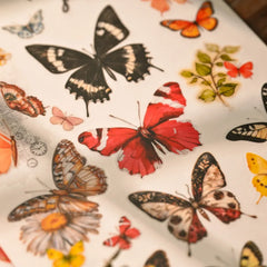 Butterfly Whispers Rub-On Stickers Set