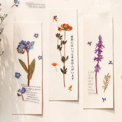 Magic of Plants Transparent Sticker Sheet