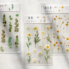Magic of Plants Transparent Sticker Sheet