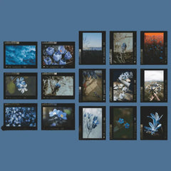 Vintage Film Frame Stickers