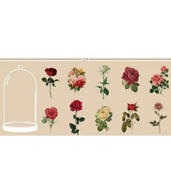 Botanical Transparent Sticker Pack