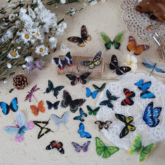 Butterfly & Dragonfly PET Sticker Collection
