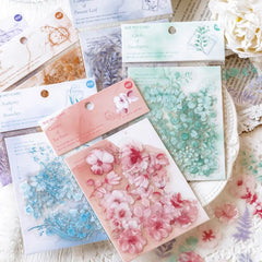 Botanical Dream PET Die-Cut Sticker Set