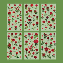 Botanical Garden PET Sticker Collection